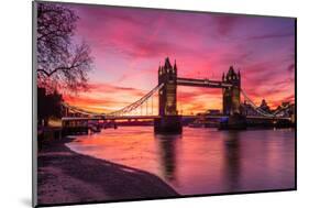Sunrise view of Tower Bridge from Tower Wharf, Tower of London, London-Ed Hasler-Mounted Photographic Print