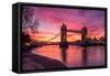 Sunrise view of Tower Bridge from Tower Wharf, Tower of London, London-Ed Hasler-Framed Stretched Canvas