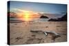 Sunrise Views to Lion Island-lovleah-Stretched Canvas