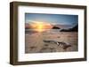 Sunrise Views to Lion Island-lovleah-Framed Photographic Print