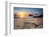 Sunrise Views to Lion Island-lovleah-Framed Photographic Print