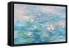 Sunrise Waterlilies Crop-Danhui Nai-Framed Stretched Canvas