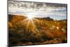 Sunrise While Camping in Indian Creek, Utah-Louis Arevalo-Mounted Photographic Print