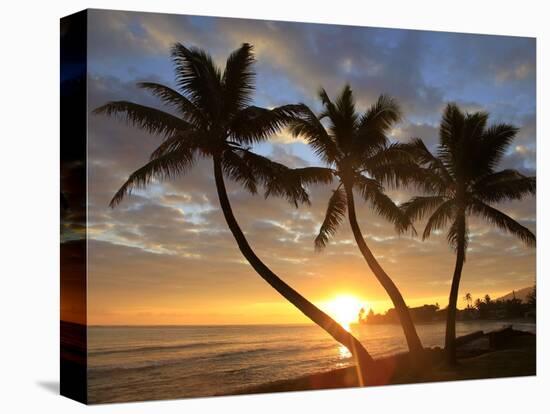 Sunrise, Windward Oahu, Hawaii-Douglas Peebles-Stretched Canvas