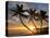 Sunrise, Windward Oahu, Hawaii-Douglas Peebles-Stretched Canvas