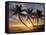 Sunrise, Windward Oahu, Hawaii-Douglas Peebles-Framed Stretched Canvas