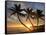 Sunrise, Windward Oahu, Hawaii-Douglas Peebles-Framed Stretched Canvas