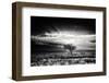 Sunrise With Hartebeest-Piet Flour-Framed Photographic Print