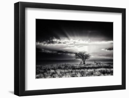 Sunrise With Hartebeest-Piet Flour-Framed Photographic Print