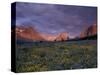 Sunrise with Wildflowers, Glacier National Park, Montana, USA-Darrell Gulin-Stretched Canvas