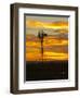 Sunrise with Windmill, Cimarron, New Mexico, USA-Maresa Pryor-Framed Photographic Print