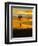 Sunrise with Windmill, Cimarron, New Mexico, USA-Maresa Pryor-Framed Premium Photographic Print