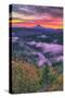 Sunrise World at Mount Hood, Fog at Sandy River Oregon-Vincent James-Stretched Canvas