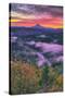 Sunrise World at Mount Hood, Fog at Sandy River Oregon-Vincent James-Stretched Canvas