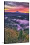 Sunrise World at Mount Hood, Fog at Sandy River Oregon-Vincent James-Stretched Canvas