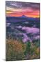 Sunrise World at Mount Hood, Fog at Sandy River Oregon-Vincent James-Mounted Photographic Print