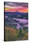 Sunrise World at Mount Hood, Fog at Sandy River Oregon-Vincent James-Stretched Canvas