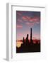 Sunrise, Yei Bi Chei and Totem Pole, Monument Valley, Arizona-Michel Hersen-Framed Photographic Print