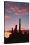 Sunrise, Yei Bi Chei and Totem Pole, Monument Valley, Arizona-Michel Hersen-Stretched Canvas