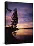 Sunrise, Yellowstone Lake, Yellowstone National Park, Wyoming-Geoff Renner-Stretched Canvas