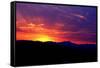 Sunrise-null-Framed Stretched Canvas