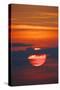 Sunrise-Gary Carter-Stretched Canvas