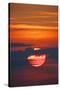 Sunrise-Gary Carter-Stretched Canvas