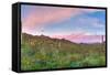 Sunrise-Anton Foltin-Framed Stretched Canvas