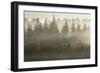 Sunrise-David Baker-Framed Photographic Print