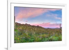 Sunrise-Anton Foltin-Framed Photographic Print