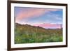 Sunrise-Anton Foltin-Framed Photographic Print