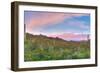 Sunrise-Anton Foltin-Framed Photographic Print