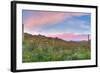 Sunrise-Anton Foltin-Framed Photographic Print