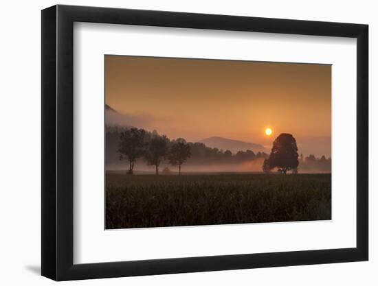 Sunrise-Simone Wunderlich-Framed Photographic Print