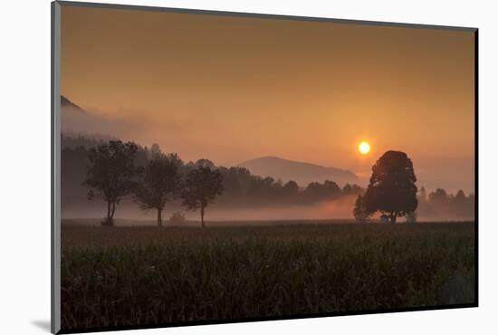 Sunrise-Simone Wunderlich-Mounted Photographic Print