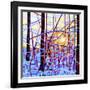 Sunrise-Mandy Budan-Framed Giclee Print