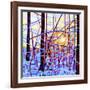 Sunrise-Mandy Budan-Framed Giclee Print