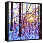 Sunrise-Mandy Budan-Framed Stretched Canvas