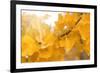 Suns Have Gone-Philippe Sainte-Laudy-Framed Photographic Print