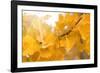 Suns Have Gone-Philippe Sainte-Laudy-Framed Premium Photographic Print