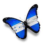 Israeli Flag Butterfly Flying, Isolated On White Background-suns_luck-Art Print