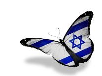 Israeli Flag Butterfly Flying, Isolated On White Background-suns_luck-Art Print