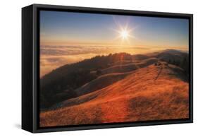 Sunscape Above the Fog at Mount Tamalpais-null-Framed Stretched Canvas