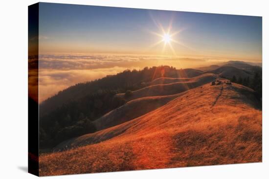 Sunscape Above the Fog at Mount Tamalpais-null-Stretched Canvas