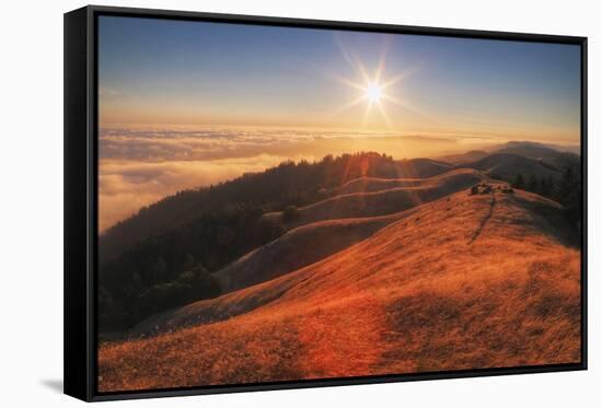 Sunscape Above the Fog at Mount Tamalpais-null-Framed Stretched Canvas