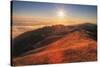Sunscape Above the Fog at Mount Tamalpais-null-Stretched Canvas
