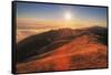 Sunscape Above the Fog at Mount Tamalpais-null-Framed Stretched Canvas