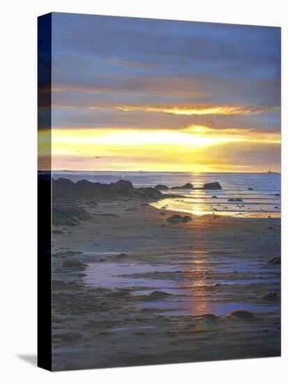 Sunscape-Bruce Dumas-Stretched Canvas