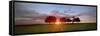 Sunset 3-Wayne Bradbury-Framed Stretched Canvas