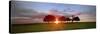 Sunset 3-Wayne Bradbury-Stretched Canvas